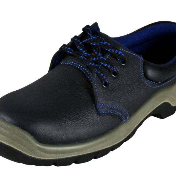 BSC2/SM - STANDARD SHOE Thumbnail
